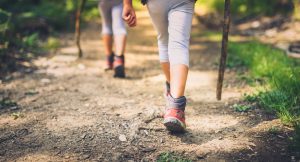 children,hiking,in,mountains,or,forest,with,sport,hiking,shoes. children,hiking,in,mountains,or,forest,with,sport,hiking,shoes.