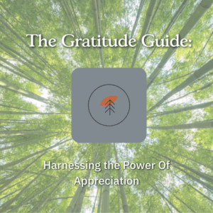 the gratitude guide e book