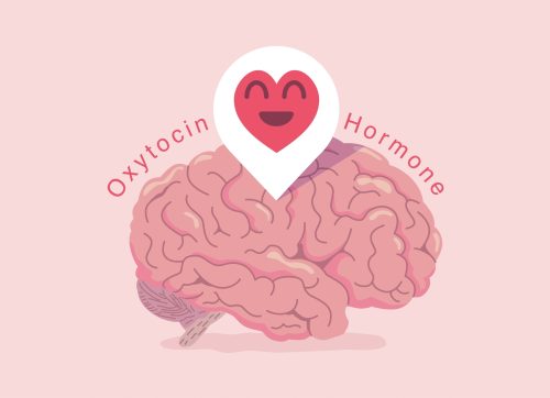 heart,face,icon,on,the,pink,human,brain.,oxytocin,hormone