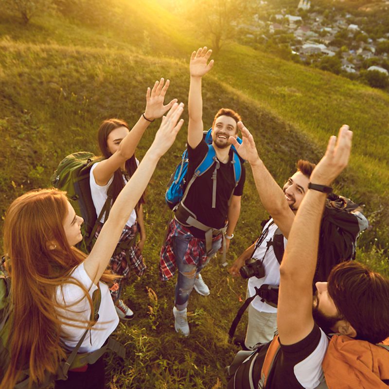 wemovetoheal newsletter 2025