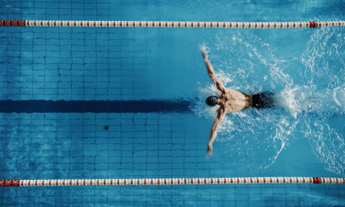 aerial,top,view,male,swimmer,swimming,in,swimming,pool.,professional