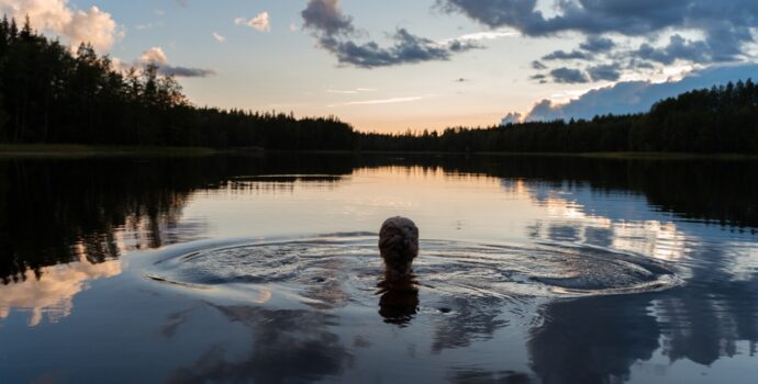 silhouette,of,a,girl,swimming,in,a,calm,lake,on