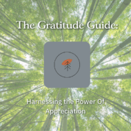the gratitude guide e book
