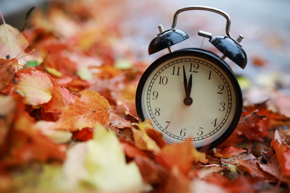 alarm,clock,on,autumn,leaves,natural,background
