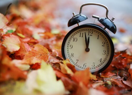 alarm,clock,on,autumn,leaves,natural,background