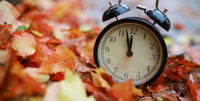 alarm,clock,on,autumn,leaves,natural,background alarm,clock,on,autumn,leaves,natural,background