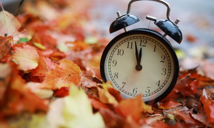 alarm,clock,on,autumn,leaves,natural,background alarm,clock,on,autumn,leaves,natural,background
