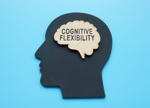 wooden,brain,shape,with,words,cognitive,flexibility.