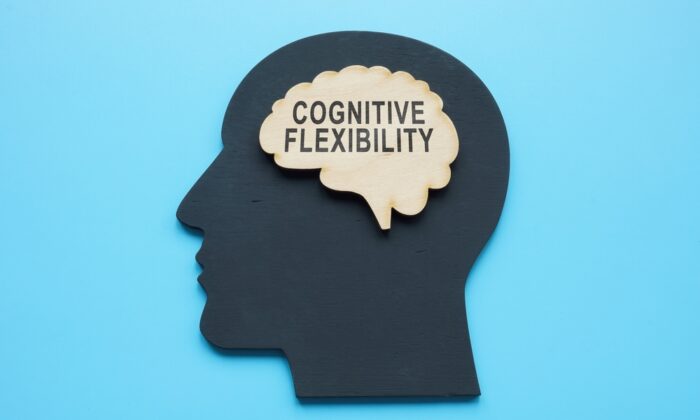 wooden,brain,shape,with,words,cognitive,flexibility.