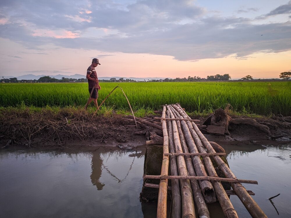 sukoharjo,indonesia, ,03, ,18, ,2023,view,of,bamboo