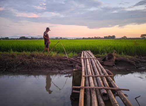 sukoharjo,indonesia, ,03, ,18, ,2023,view,of,bamboo sukoharjo,indonesia, ,03, ,18, ,2023,view,of,bamboo