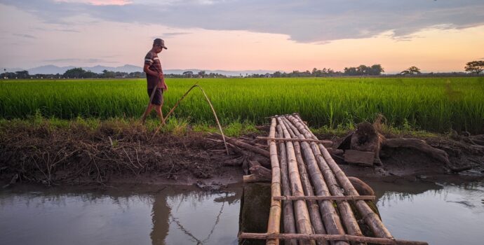 sukoharjo,indonesia, ,03, ,18, ,2023,view,of,bamboo sukoharjo,indonesia, ,03, ,18, ,2023,view,of,bamboo