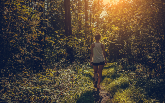 4 woods, woman walking, golden hour, forest