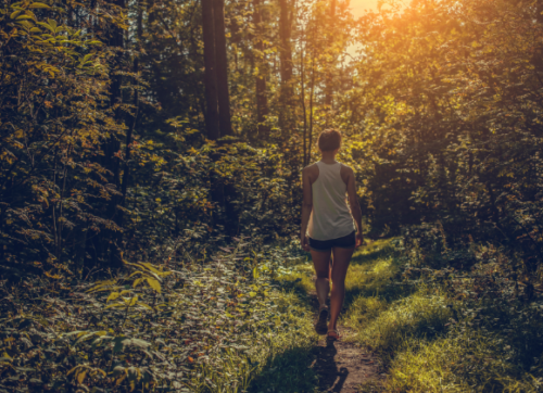 4 woods, woman walking, golden hour, forest