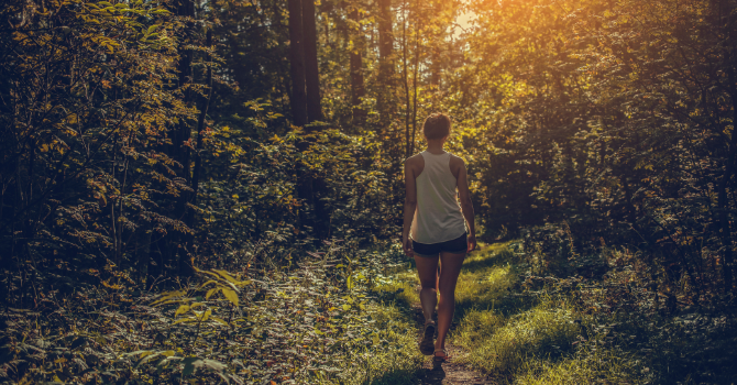 woods, woman walking, golden hour, forest