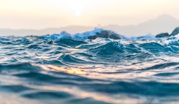 water nature element water nature element