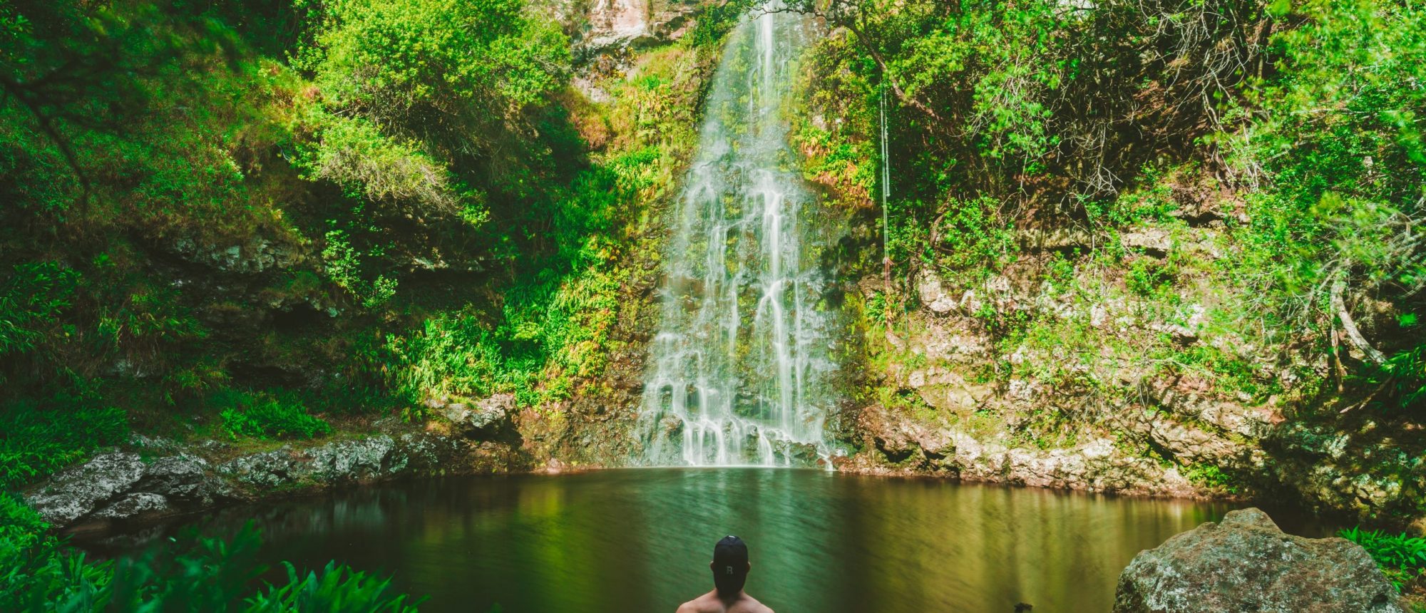 man practicing forest bathing man practicing forest bathing